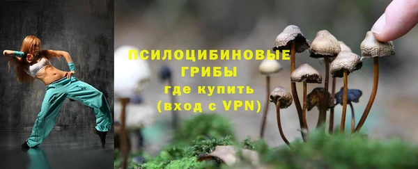 PSILOCYBIN Богданович