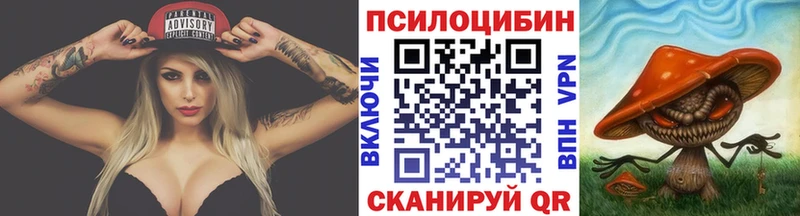 дарк нет формула  Верхняя Пышма  Галлюциногенные грибы Psilocybine cubensis  сколько стоит 